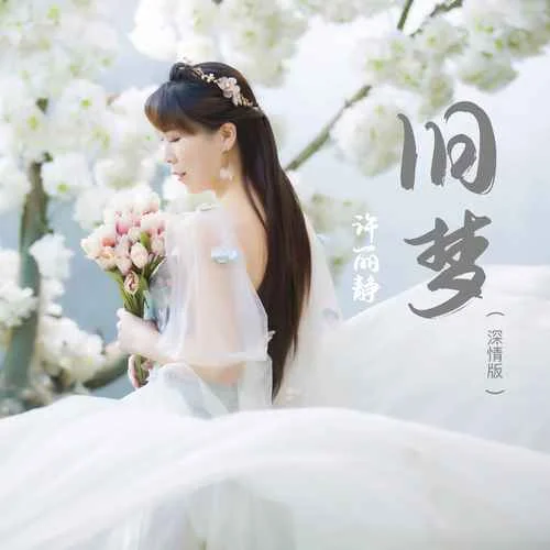 旧梦(DJ默涵版)-许丽静