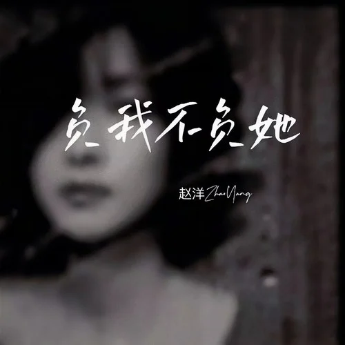 負我不負她(DJ默涵版)-趙洋