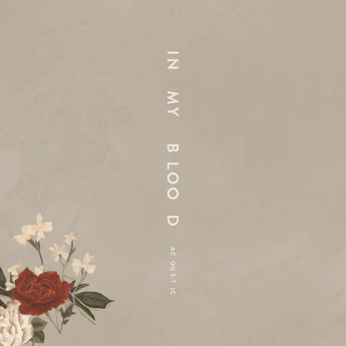 In My Blood(Acoustic)-Shawn Mendes