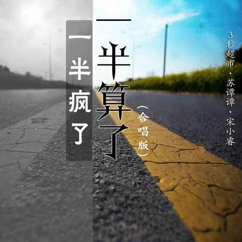 一半瘋了一半算了(DJ默涵合唱版)-蘇譚譚&3秒超市&宋小睿