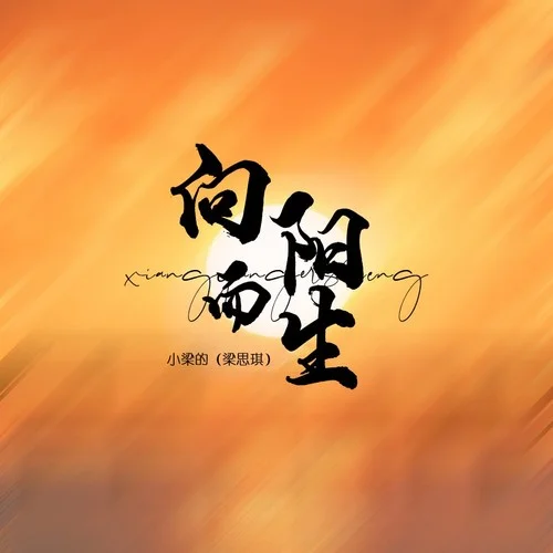 向陽而生DJ版-小梁的