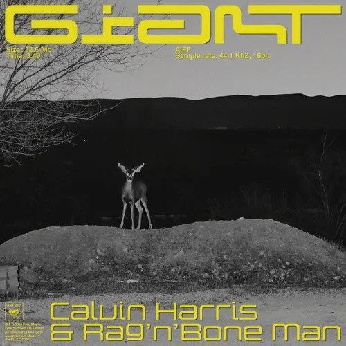 Giant-Calvin Harris&Rag\'n\'Bone Man