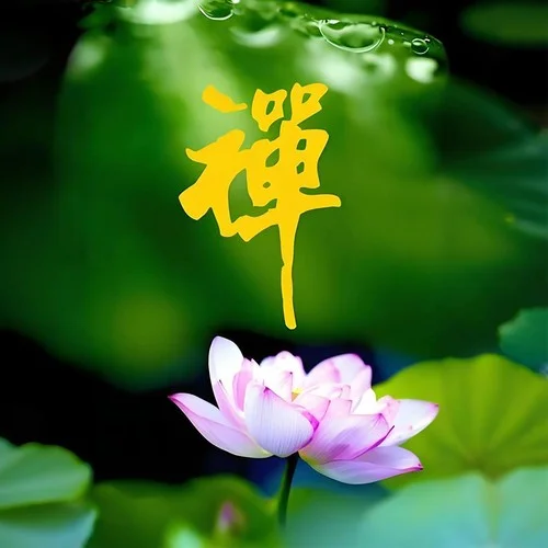 五音療愈 疏肝解郁 中醫(yī)養(yǎng)生音樂療法-唐阡墨