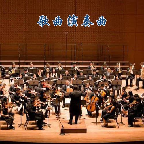 中國力量(演奏曲)-頌今樂團