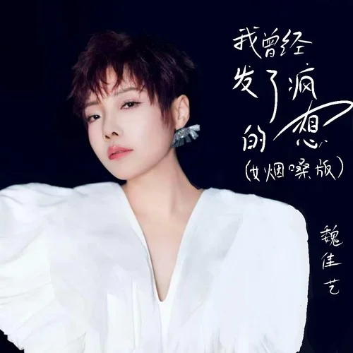 我曾经发了疯的想 (女烟嗓版)-魏佳艺