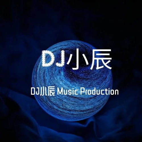 全中文抖音帶火流行歌曲首DJ串燒-DJ小辰&DJ豪仔