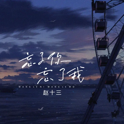 忘了你忘了我(女声版)-赵十三