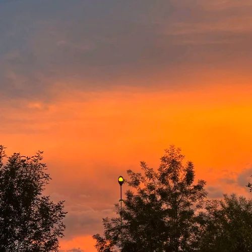 Sacred Play Secret Place-沐軒哥哥