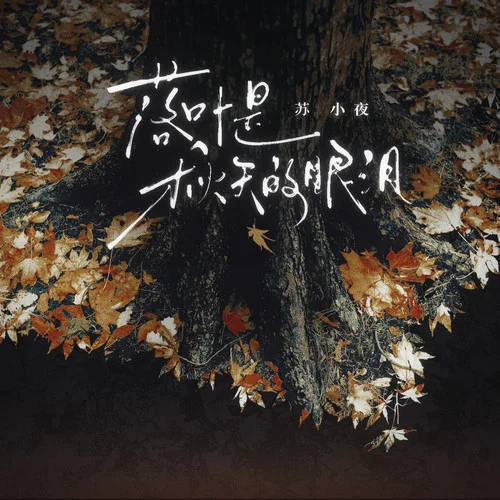 落葉是秋天的眼淚(DJ阿卓版)-蘇小夜