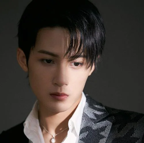 You raise me up—檀健次-夏意詞