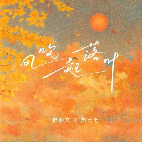 風(fēng)吹起落葉(電子DJ版) (Remix)-DJ阿易&賴湘文&焦七七