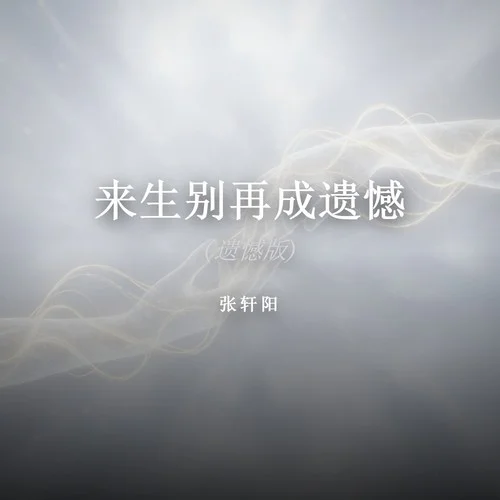 來生別再成遺憾(遺憾版)-張軒陽