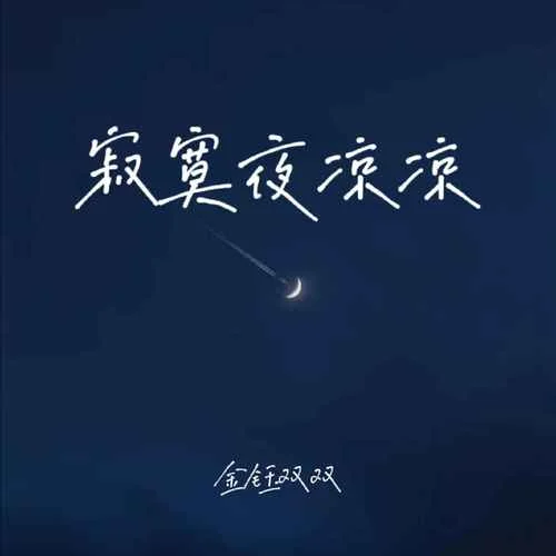 寂寞夜涼涼（傷感版）-金鈺雙雙