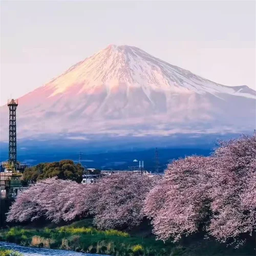 關(guān)上門一個人(正式版)-何云飛