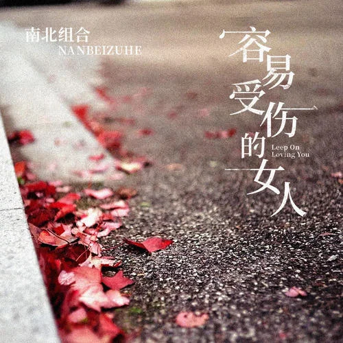 容易受傷的女人-南北組合