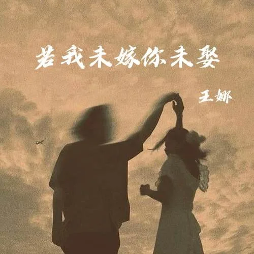 若我未嫁你未娶-王娜