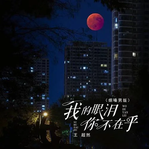 我的眼淚你不在乎（煙嗓男版）-王超然