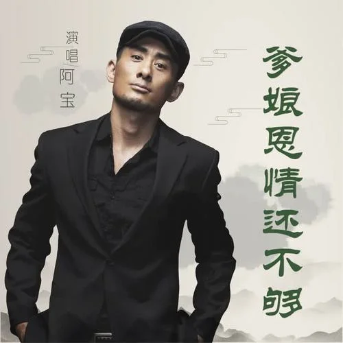 爹娘的恩情还不够-阿宝