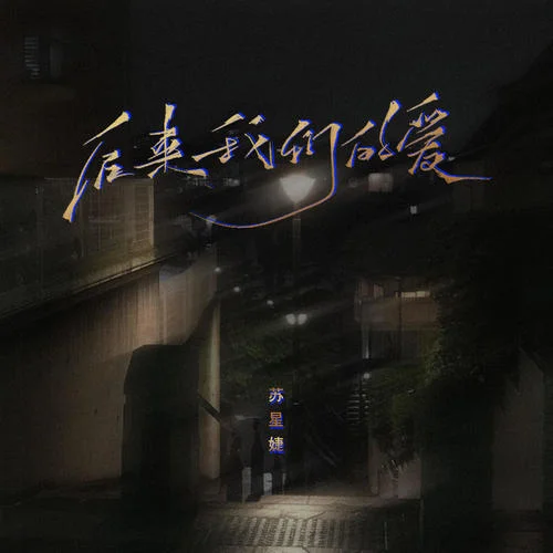 后来我们的爱(女版)-苏星婕