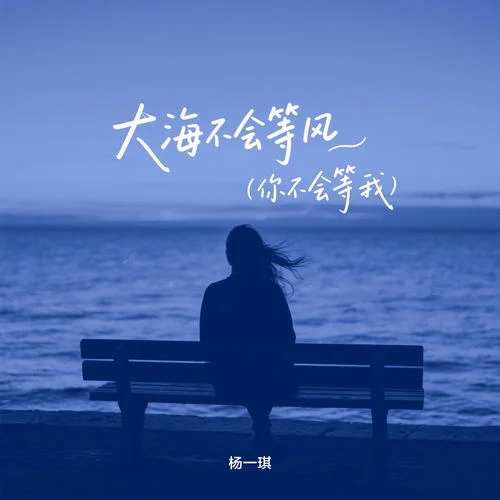 大海不會(huì)等風(fēng) (你不會(huì)等我)-楊一琪