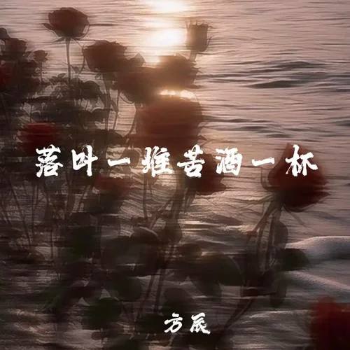 落叶一堆苦酒一杯-方辰