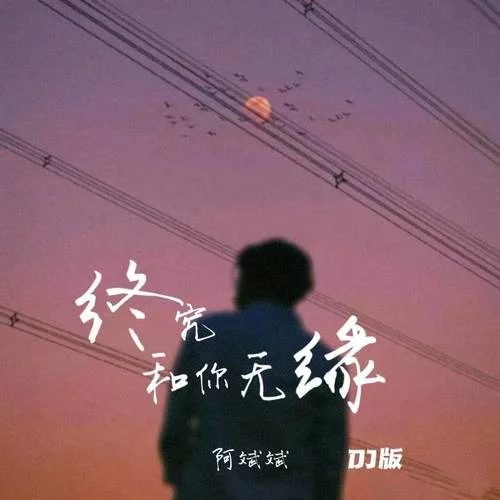 终究和你无缘 (DJ版)-阿斌斌