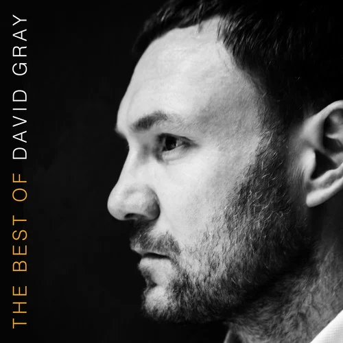 This Year’s Love-David Gray