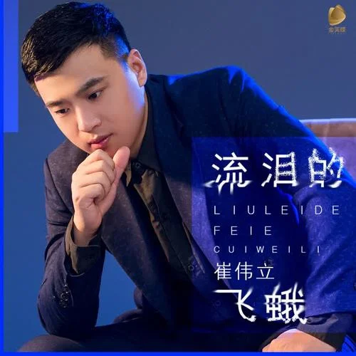 流淚的飛蛾(DJ何鵬男聲版)-崔偉立