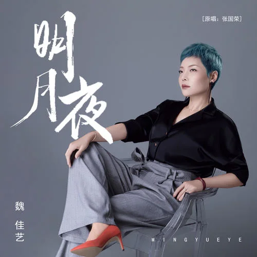 明月夜-魏佳艺