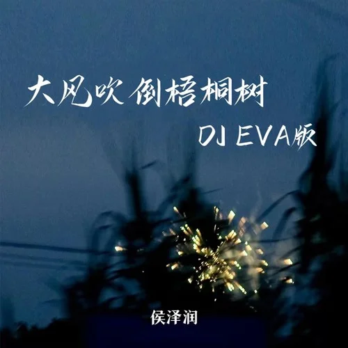 大風(fēng)吹倒梧桐樹(DJ EVA版)-侯澤潤