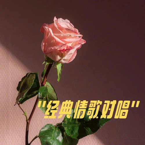 万千宠爱在一身-周慧敏&李克勤