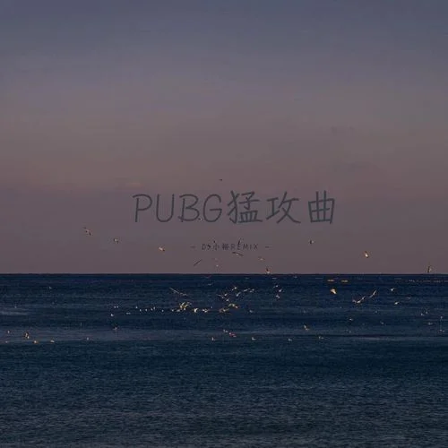 PUBG猛攻曲-DJ小思Mobile