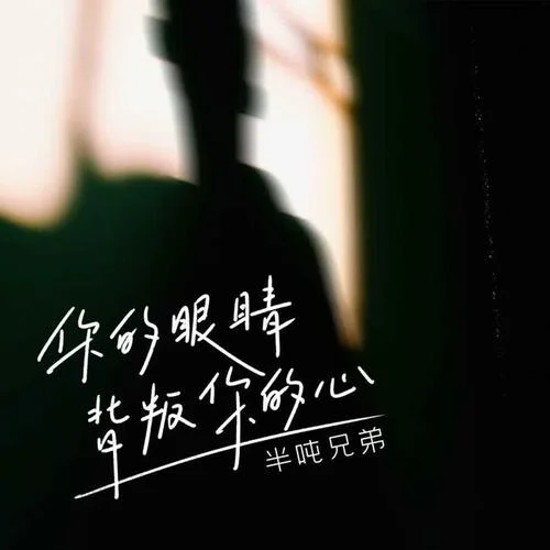 你的眼睛背叛你的心-半噸兄弟