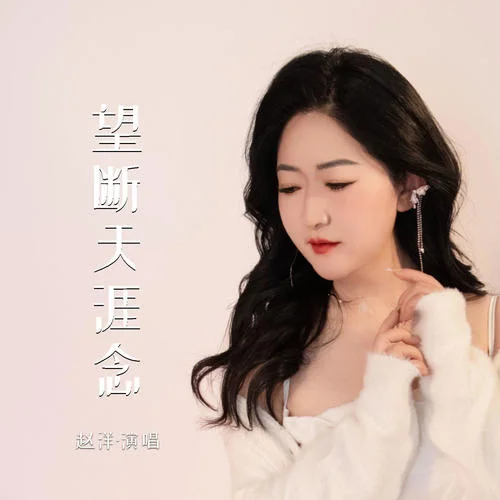 望断天涯念-赵洋