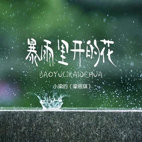 暴雨里開的花-小梁的（梁思琪）