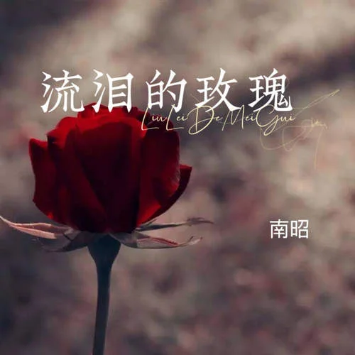 流泪的玫瑰-方辰