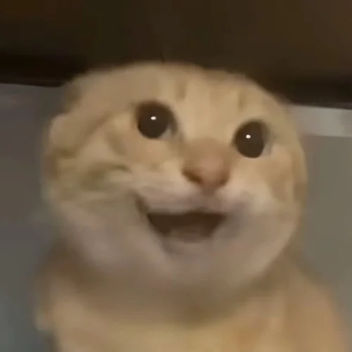 哈曼波（哈基米曼波）-熱歌姬