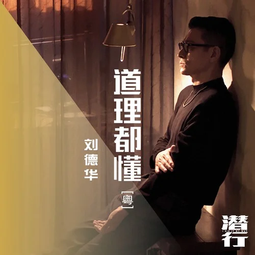 道理都懂(粤语版)-刘德华