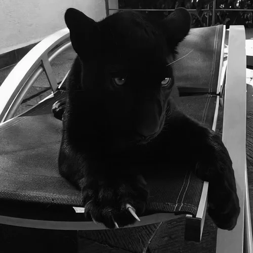 Hai Phu?t Ho?n(Remix)-超燃（0.8x）