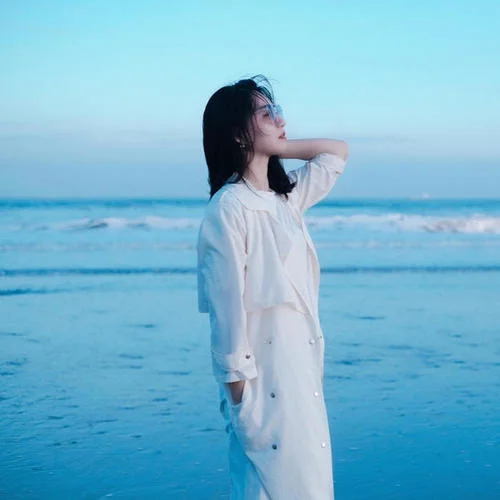 齊豫 - 橄欖樹-傅小米