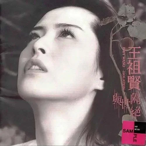 我的加法-王祖賢