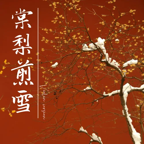 棠梨煎雪 (小提琴氛圍版)-AaZee