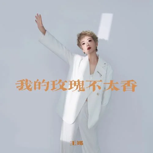 我的玫瑰不太香 (DJ九零版)-王娜