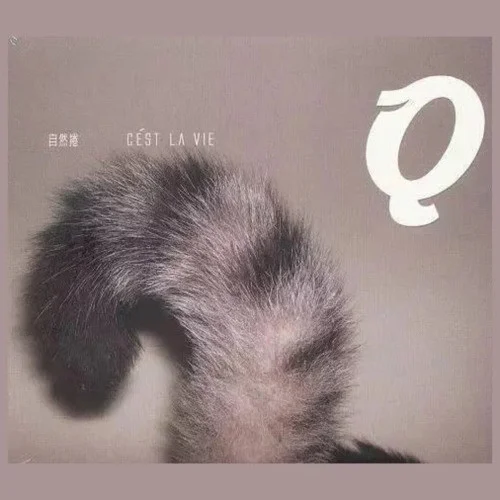 坐在巷口的那對男女-自然卷