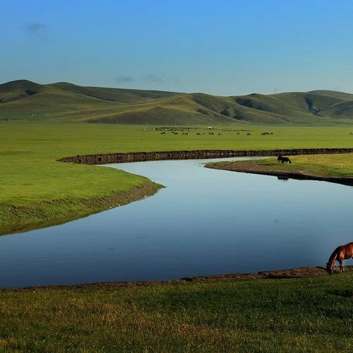 草原上的卓瑪-草原歌曲