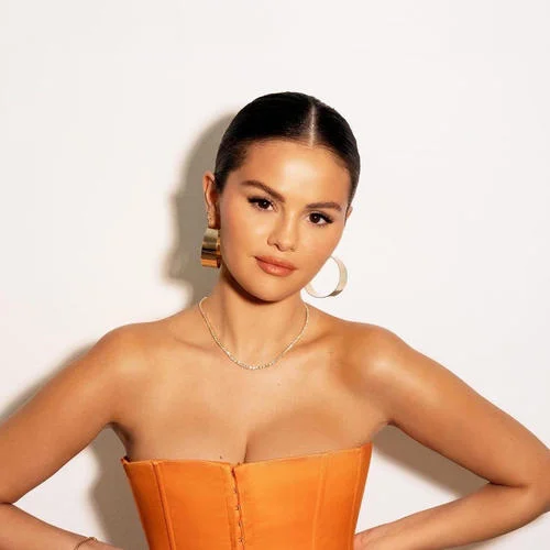 Set Fire To The Love Song-Selena Gomez&Adele