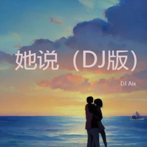 她說（DJ版）-DJ Aix