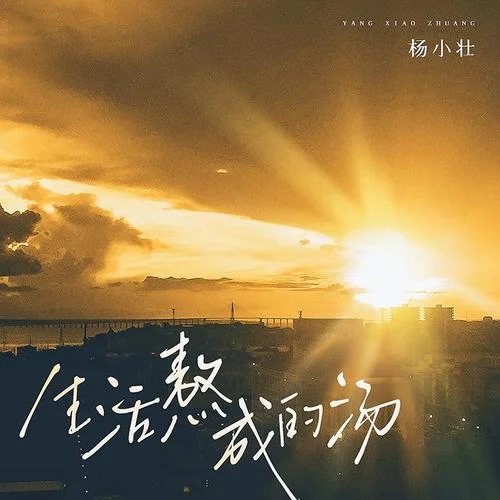 生活熬成的湯(DJ伯格版)-楊小壯