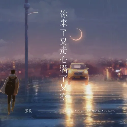 你来了又走心满了又空(烟嗓男版)-张良