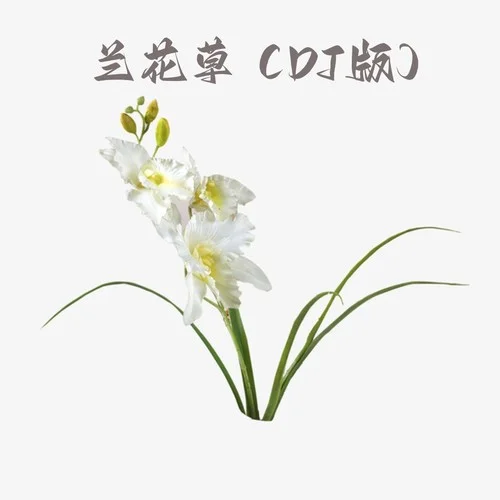 蘭花草（DJ版）(伴奏)-DJ大少